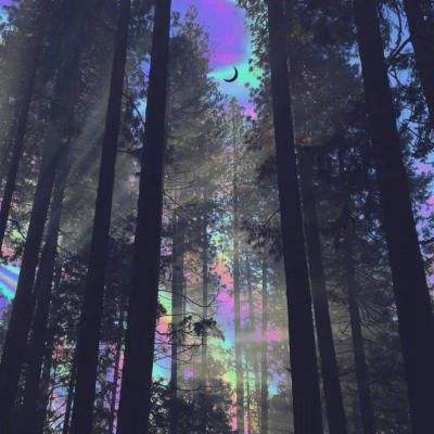 安博体育的最新版本手机app下载